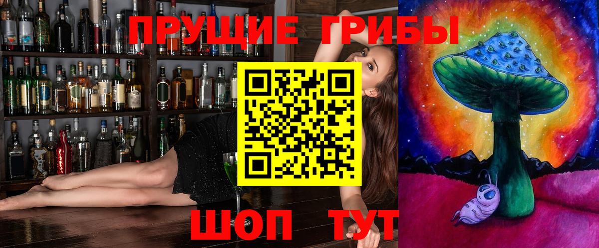 Галлюциногенные грибы GOLDEN TEACHER  Вход с VPN  Северобайкальск 